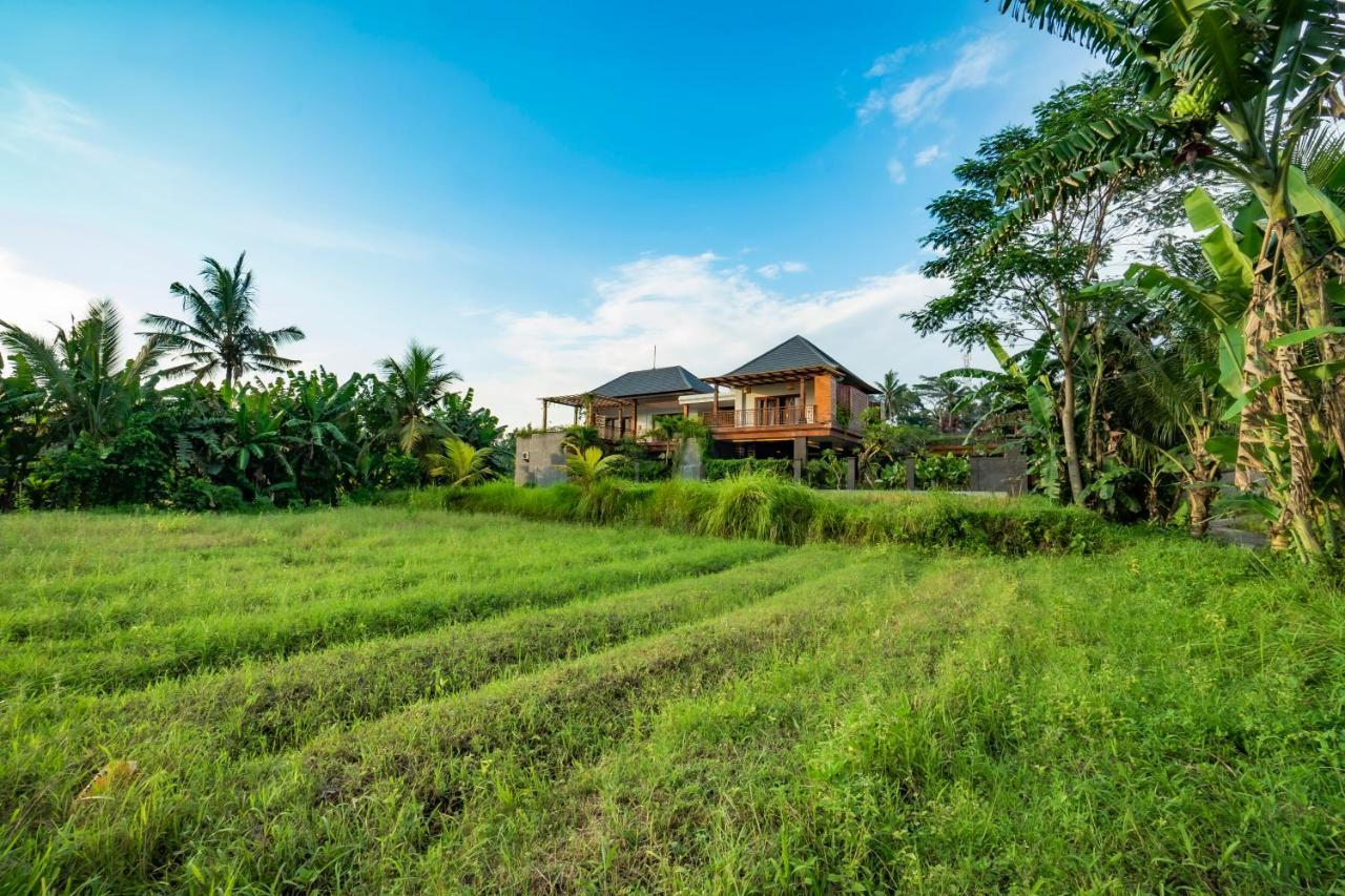 Uma Shanti Villa By Mahaputra Ubud Kültér fotó